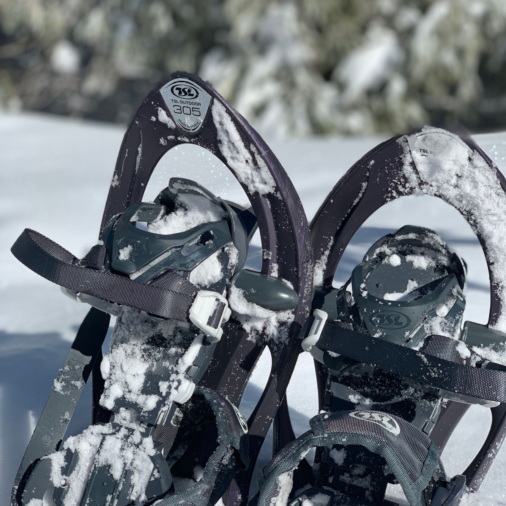 Raquettes dans la neige