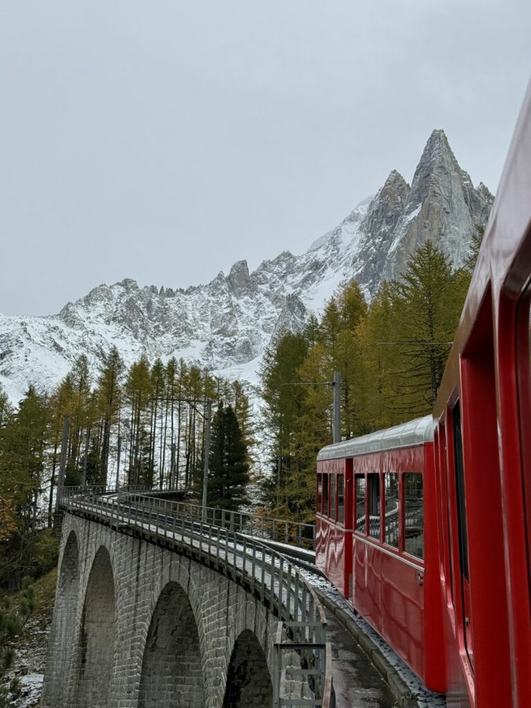 Train du Montenvers sur son viaduc, face aux Drus